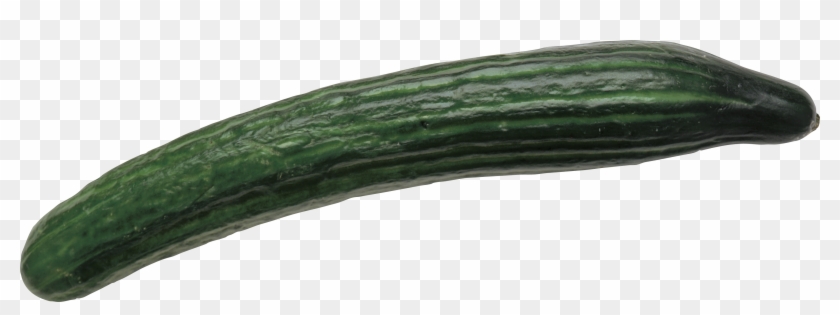Cucumber - Cucumber Png Clipart #278731