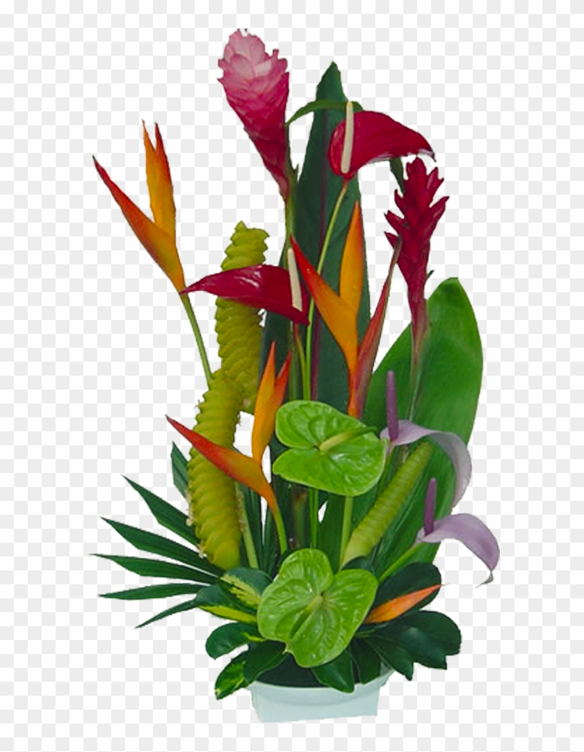 Tropical Flowers Florida Landscaping 20710 Tropical - Tropical Flower Png Clipart #278737
