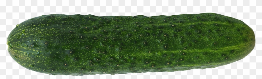 2020 X 736 - Artificial Turf Clipart #278846