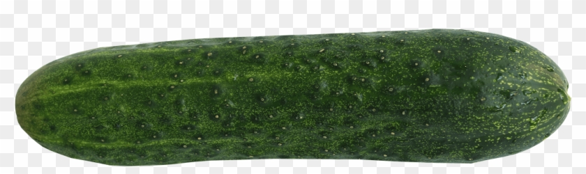 Single Cucumber Transparent Background Png - Green Object Clipart #278867