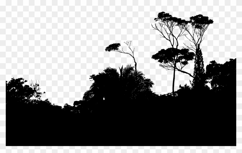 This Free Icons Png Design Of Tropical Foliage Silhouette Clipart