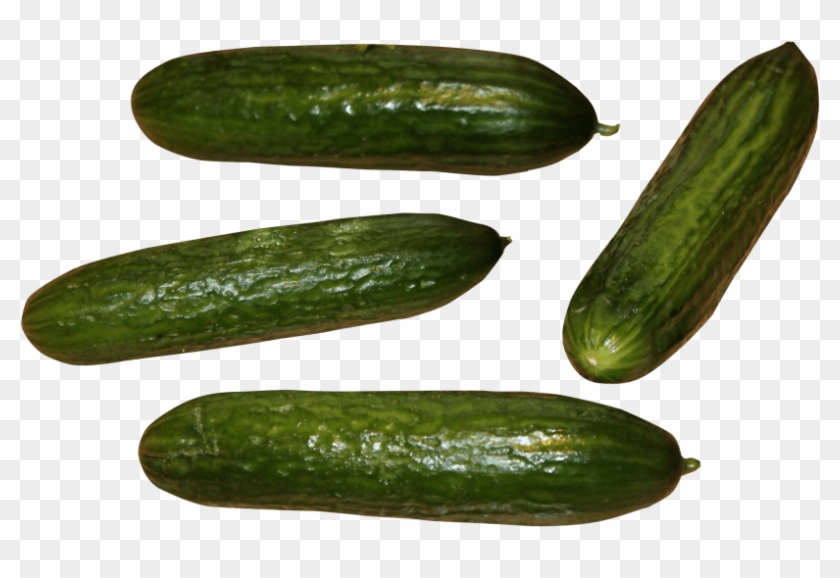Free Png Images - Cucumber Clipart