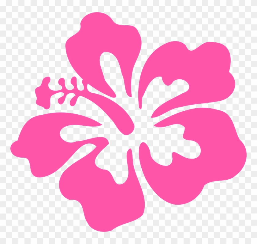 Flor Tropical Png - Hibiscus Clip Art Transparent Png