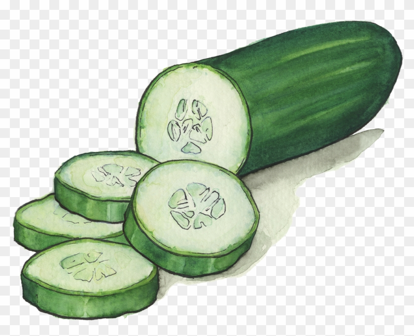 Cucumber Transparent , Png Download Clipart #279504