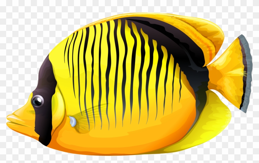 Tropical Fish Clipart Realistic - Butterfly Fish Png Transparent Png #279590