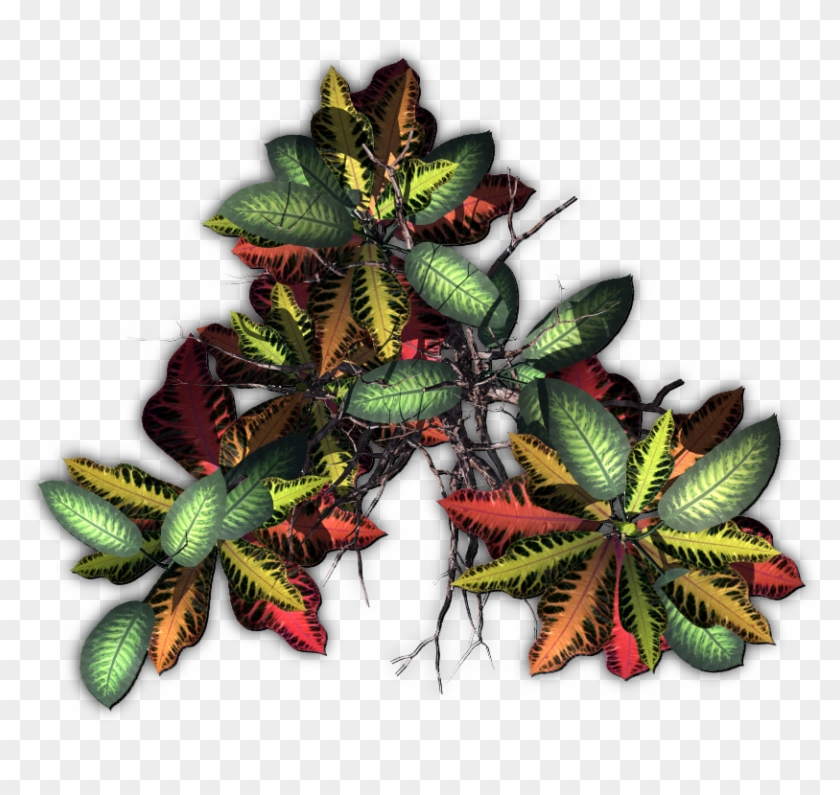 Tropical Png - Illustration Clipart