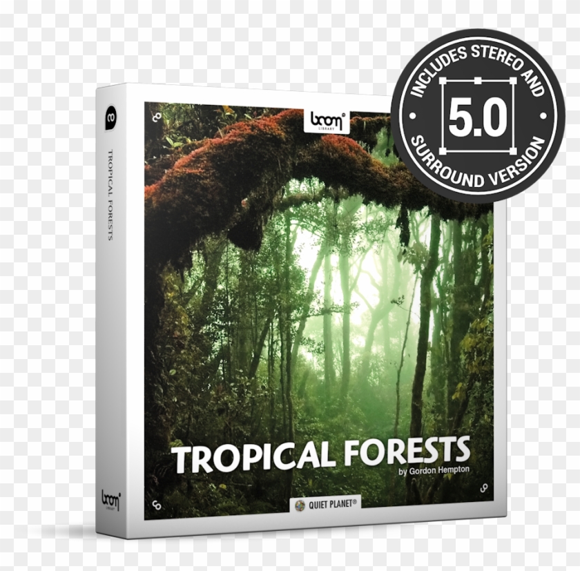 Tropical Forests Nature Ambience Sound Effects Library - High Resolution Jungle Background Clipart #279978