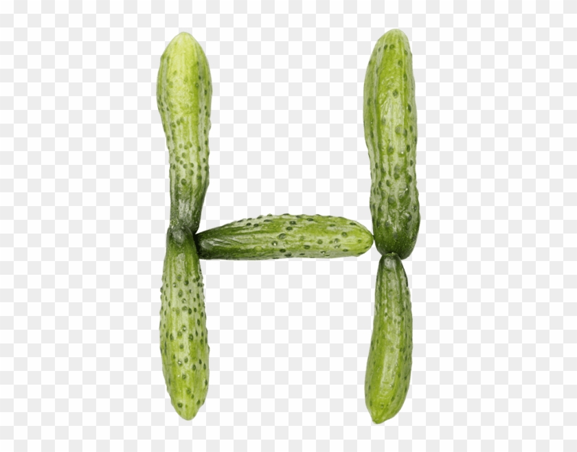 Cucumber Font - Weberocereus Clipart
