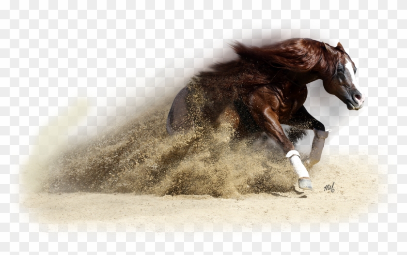 Png For - Western Horse Png Clipart #2700210