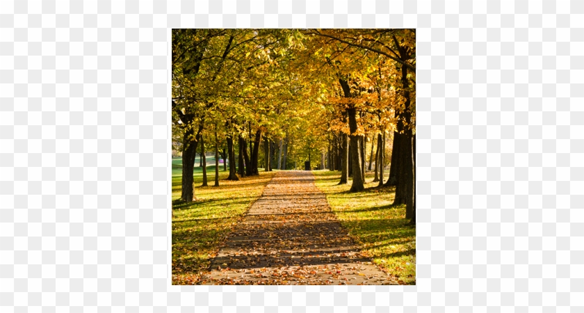 No Course Is The Same And There Is No Cookie Cutter - Grove Clipart