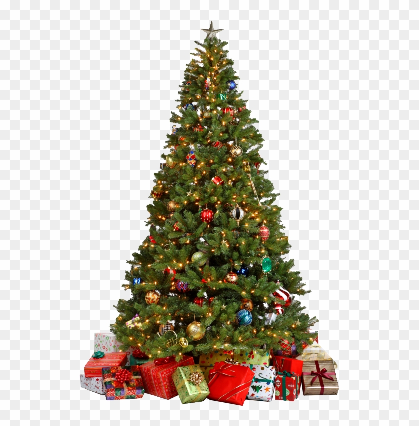 Christmas Tree Png - Decorated Christmas Tree Png Clipart #2701609