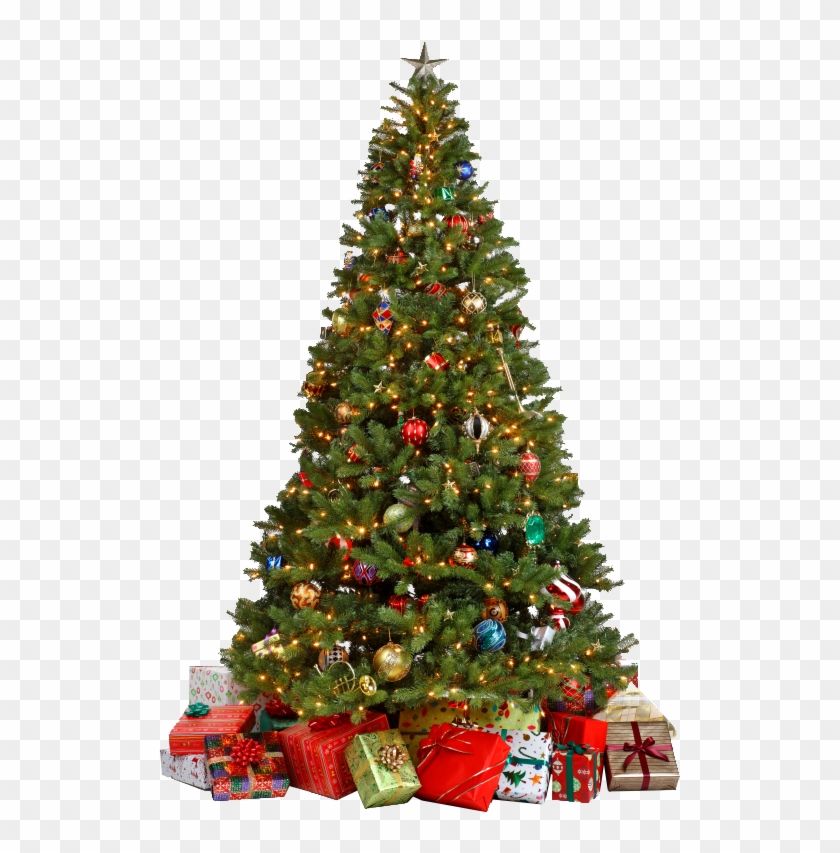 Christmas Tree Png - Decorated Christmas Tree Png Clipart (#2701609 ...