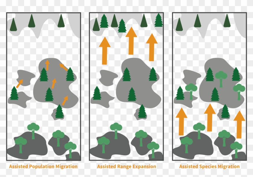 Management Considerations Clipart #2702226