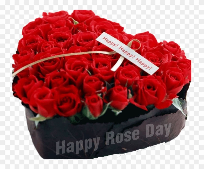 Happy Rose Day Png Image - Download Happy Rose Day Clipart #2703566
