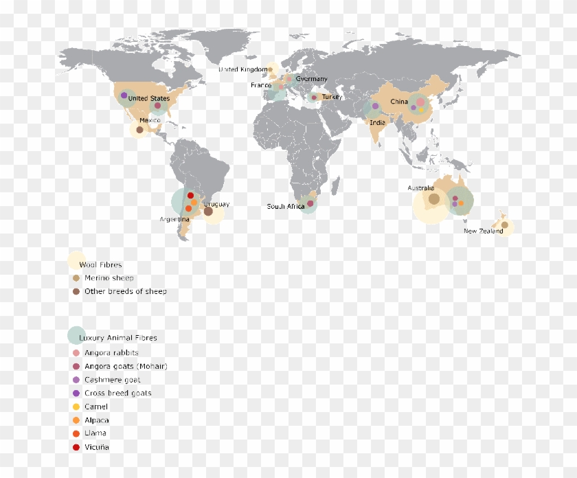 Worldmapsanimals3i - Map Of Garbage Patches Clipart #2703927