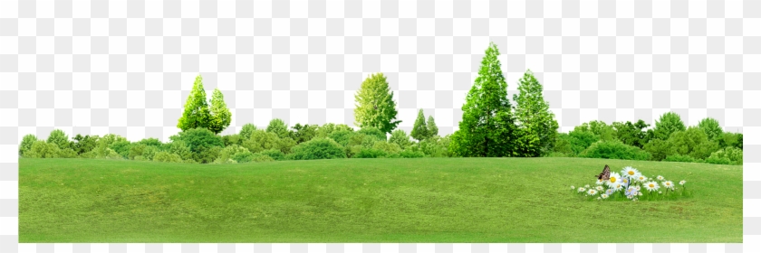 15 Tree Background Png For Free Download On Mbtskoudsalg - Fondo De Arboles En Png Clipart #2704363