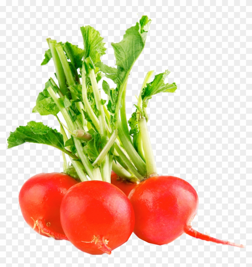 Radish Png Free Commercial Use Images - ผัก ผล ไม้ สี แดง Clipart