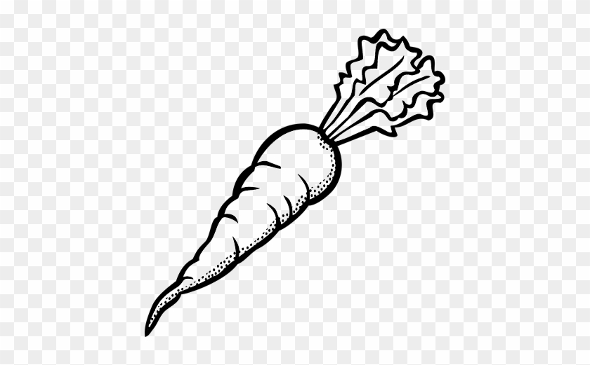 Receive A Weekly Vegetable Basket In Ottawa With Fresh - Carrot Black And White Clipart #2704576