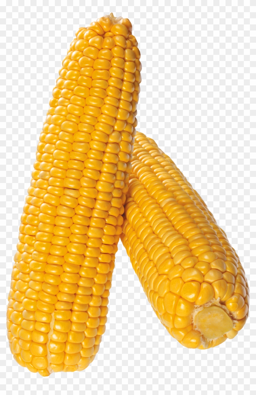 Corn Png Image - Portable Network Graphics Clipart