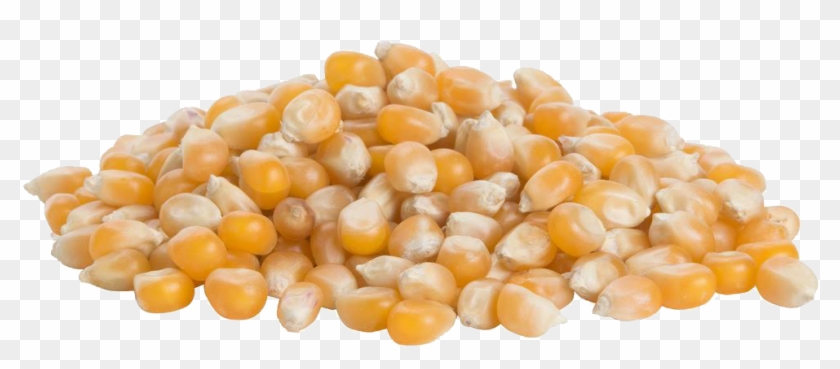 Corn Kernels , Png Download - Corn Kernels Clipart #2704868