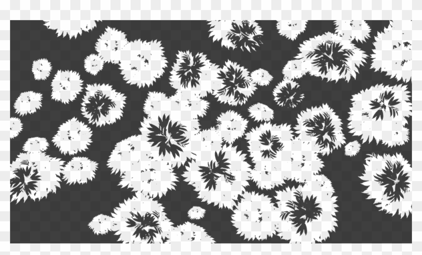 Young Leaf - African Daisy Clipart