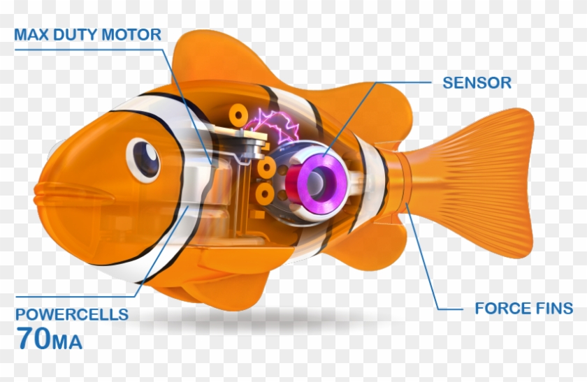 2/5 Real-life Pets - Blowfish Clipart