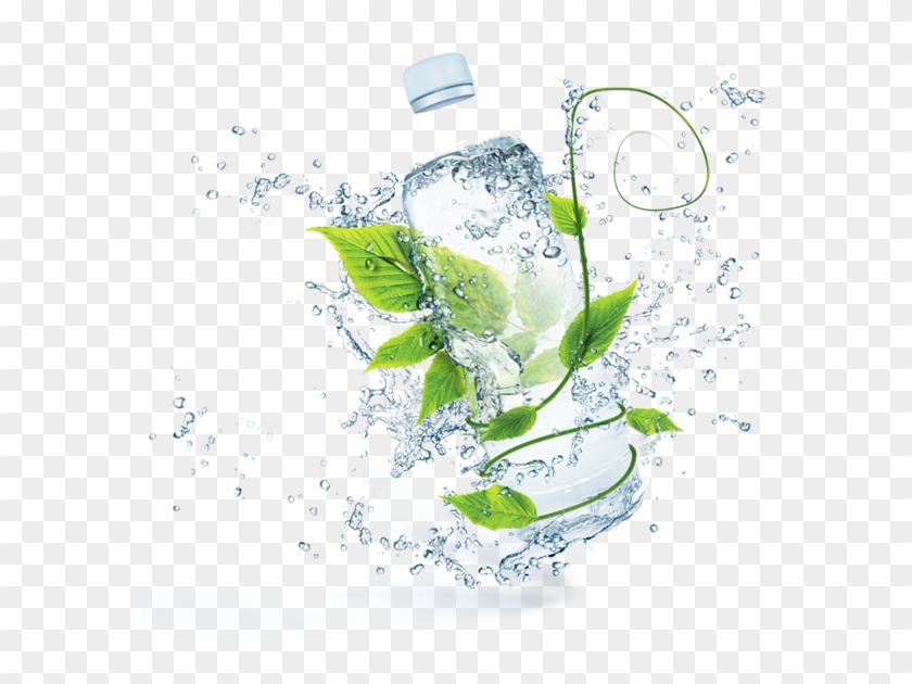 Staying Green - Illustration Clipart #2705507