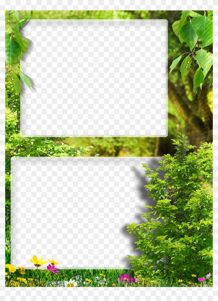 Ribbon Work, Silk Ribbon, Flower Backgrounds, Frames, - Рамка Пнг Лес Clipart