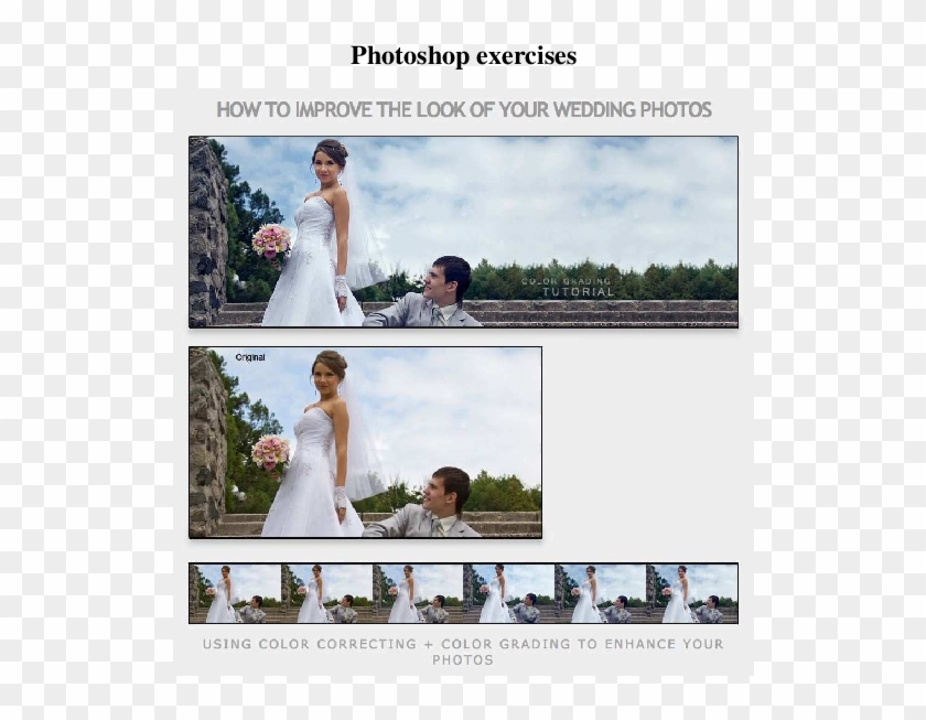 Pdf - Photograph Clipart