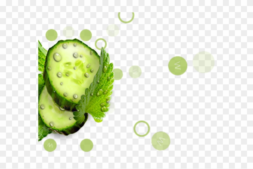 Soursop Clipart