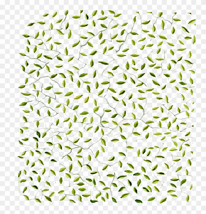 Green Leaves Clipart
