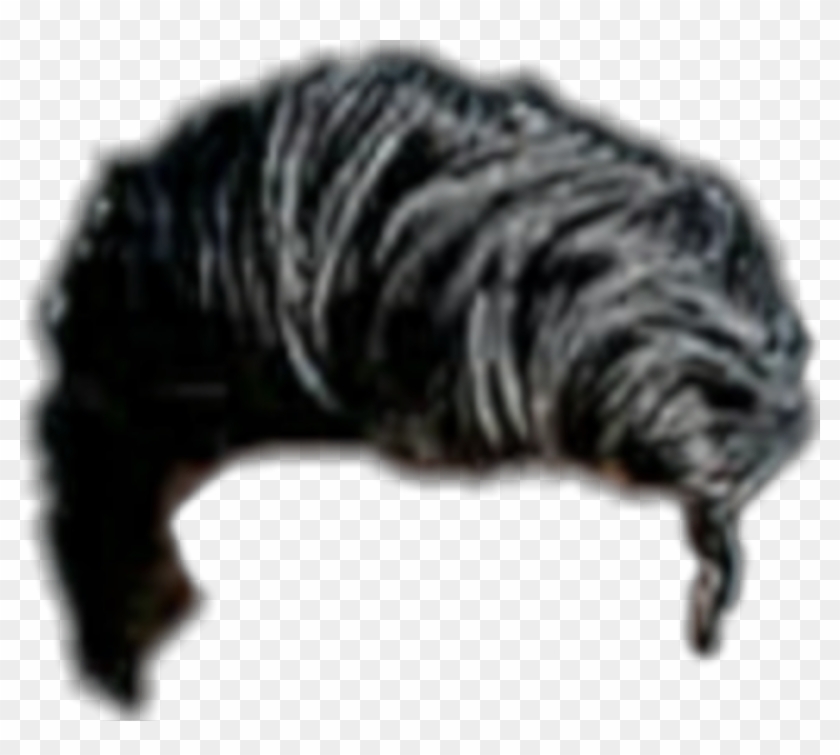 Hair Png, Hair Png Cb, Picsart Hair Png, Cb Hair Png, - Mane Clipart