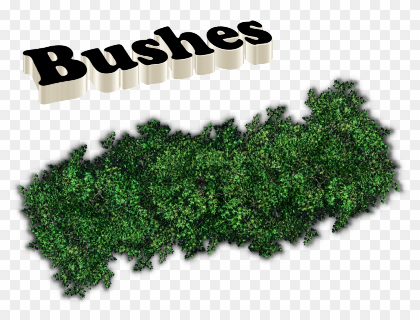 Bushes Png Images - Love Kamlesh Name Clipart #2709143