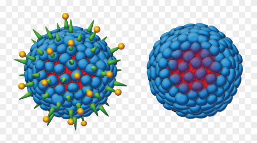 Second-generation Hepatitis B Vaccine - Hepatitis B Virus Png Clipart