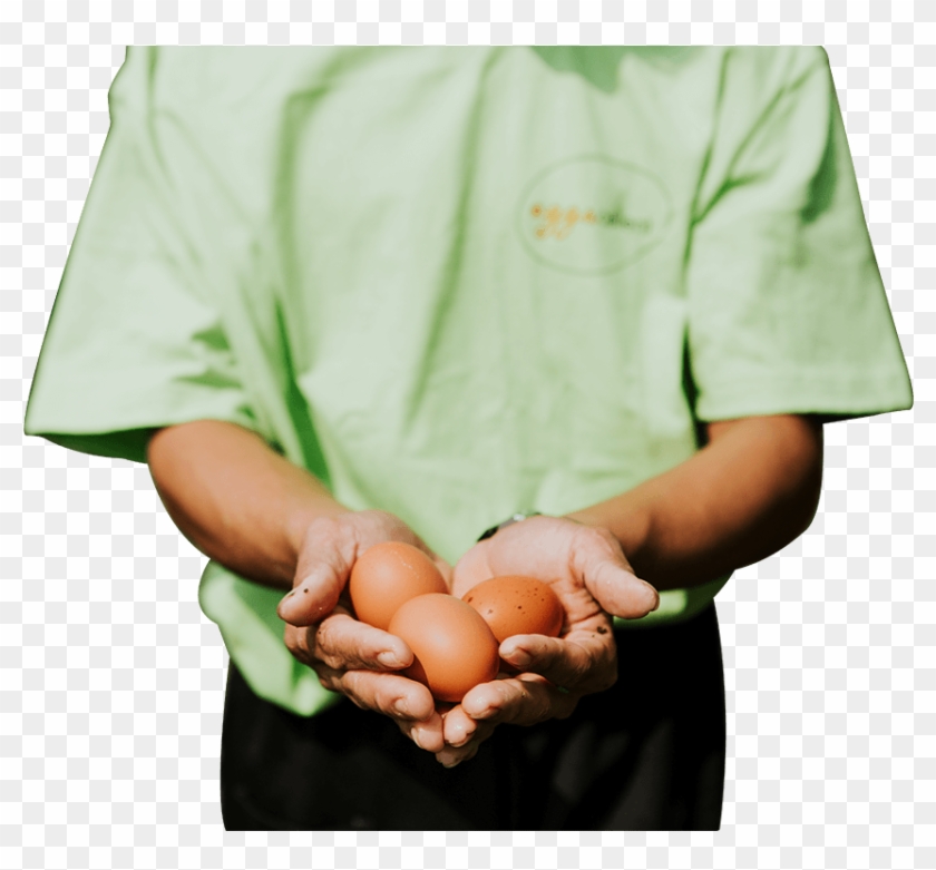 Better Eggs Clipart #2711657