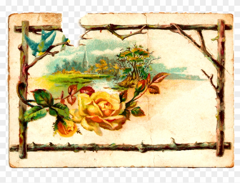 Digital Flower Image - Garden Roses Clipart