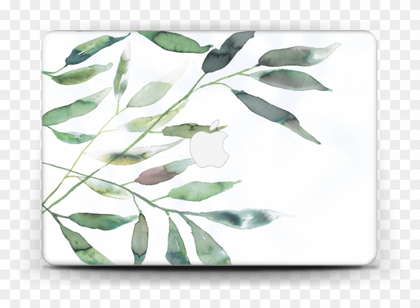 Ramas De Olivo - Display Device Clipart #2712644