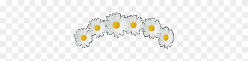 Flower Crown Overlay - Circle Clipart #2712900