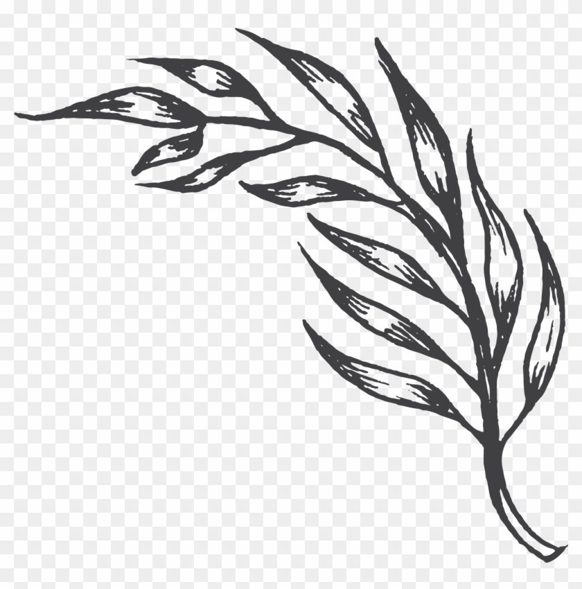 00 Am - Sketch Clipart