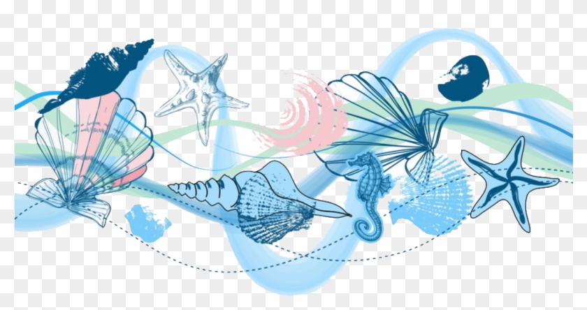 Seashell Icon Conch Transprent Png Free Download Ⓒ - Seashell Graphic Design Clipart #2713329