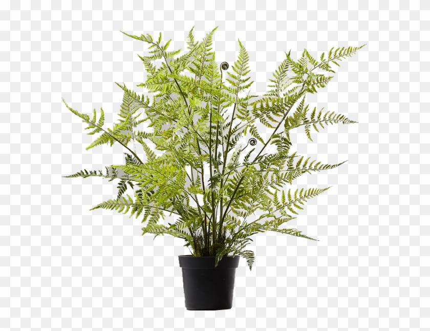 Faux Potted Tree Fern Clipart #2713927