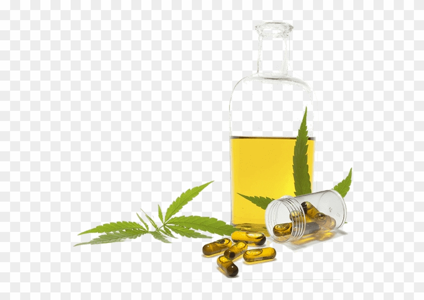 Cbd Oil White Background Clipart