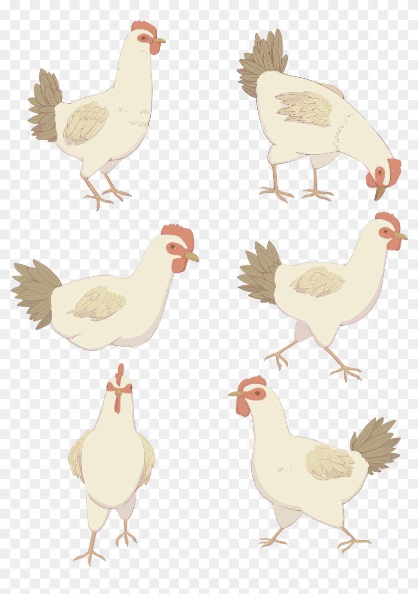 Hand Drawn Animal Creature Hen Png And Psd - Chicken Clipart