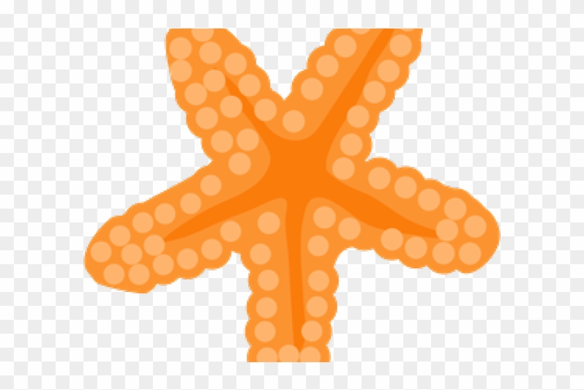 Estrela Do Mar Sereia Clipart