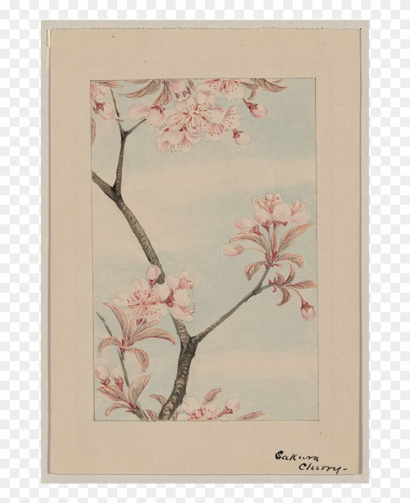 0 Replies 0 Retweets 0 Likes - Japanese Woodblock Cherry Blossom Clipart #2717492