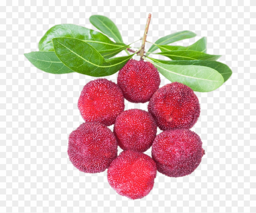 Fruits - Yumberry Fruit Png Clipart