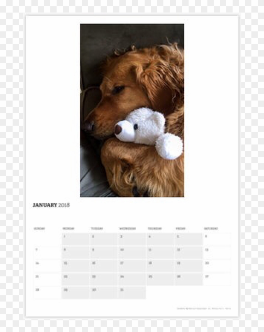 Png - Companion Dog Clipart #2718266