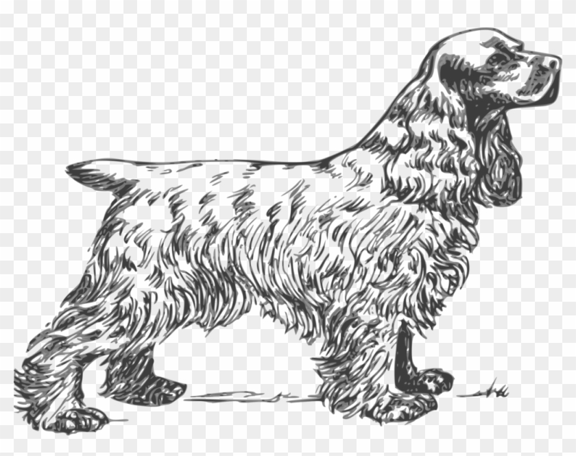Golden Retriever Clipart Black And White - Cocker Spaniel Coloring Page - Png Download #2718270