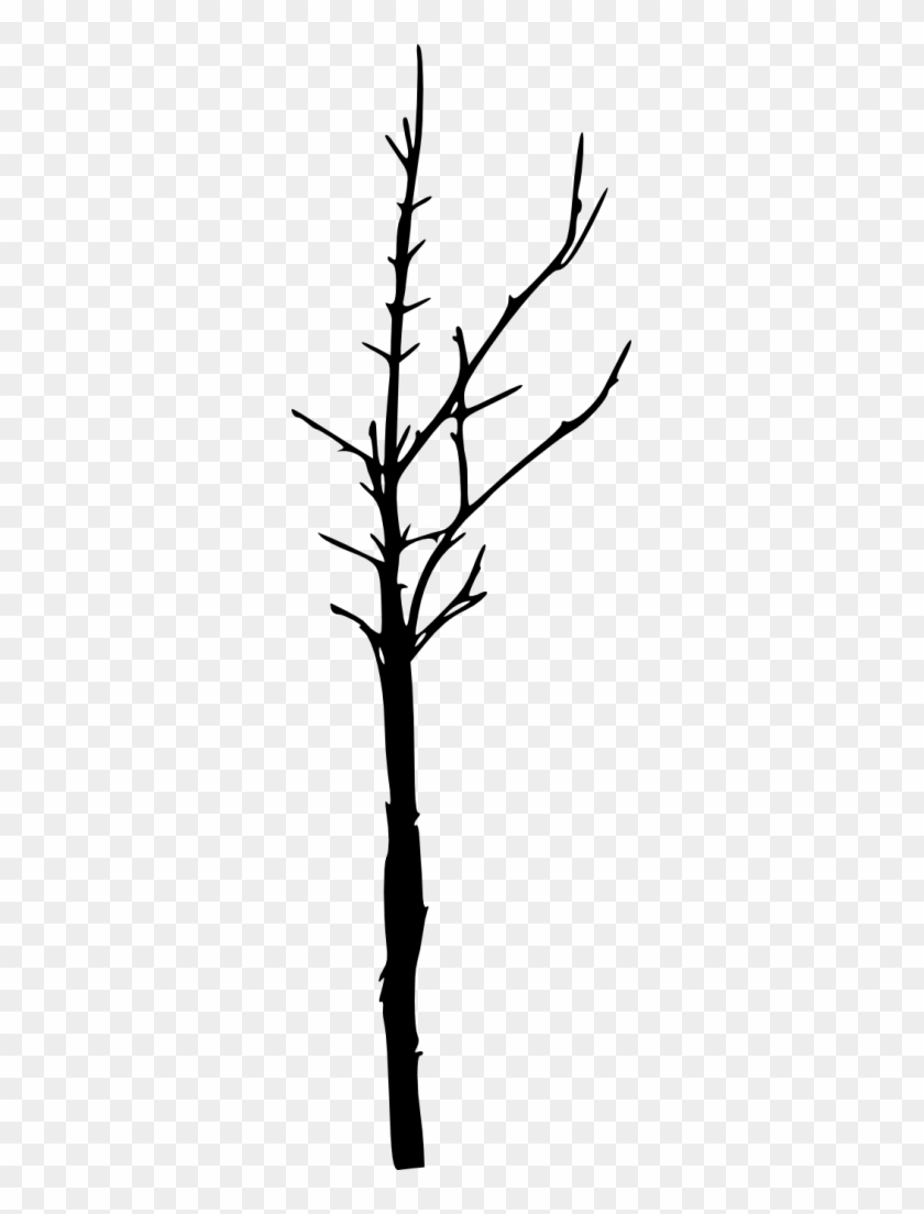 Png File Size - Bare Tree Silhouette Png Clipart