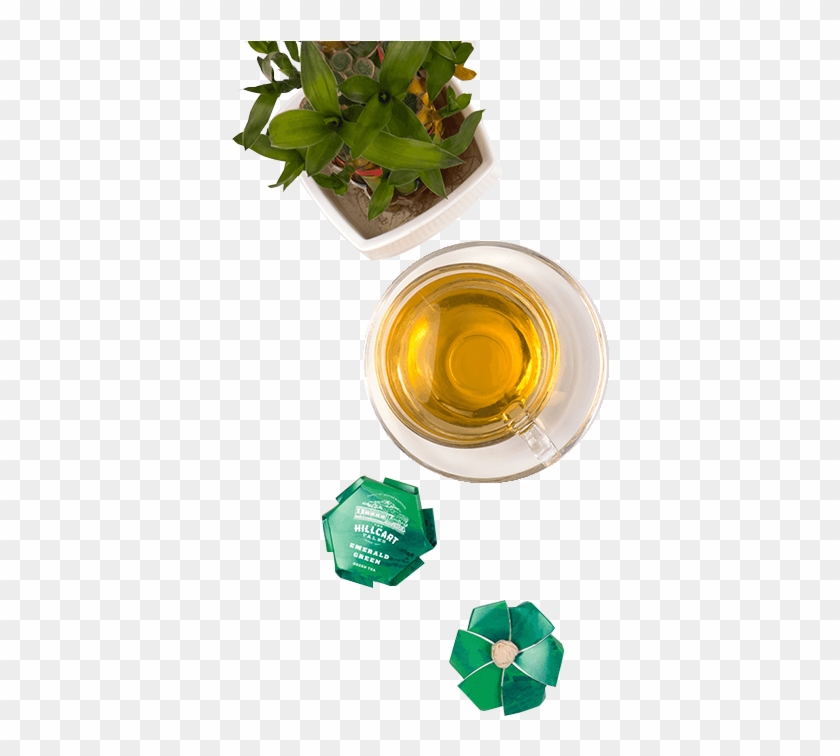 Green Top - Beer Bottle Clipart #2719529